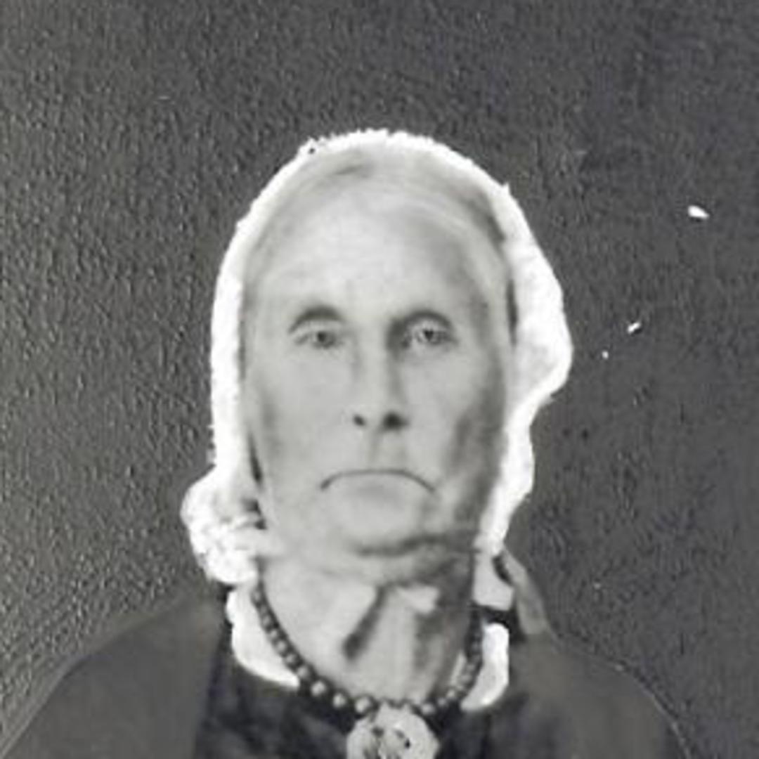 Almira Phelps Davenport (1805 - 1881) Profile